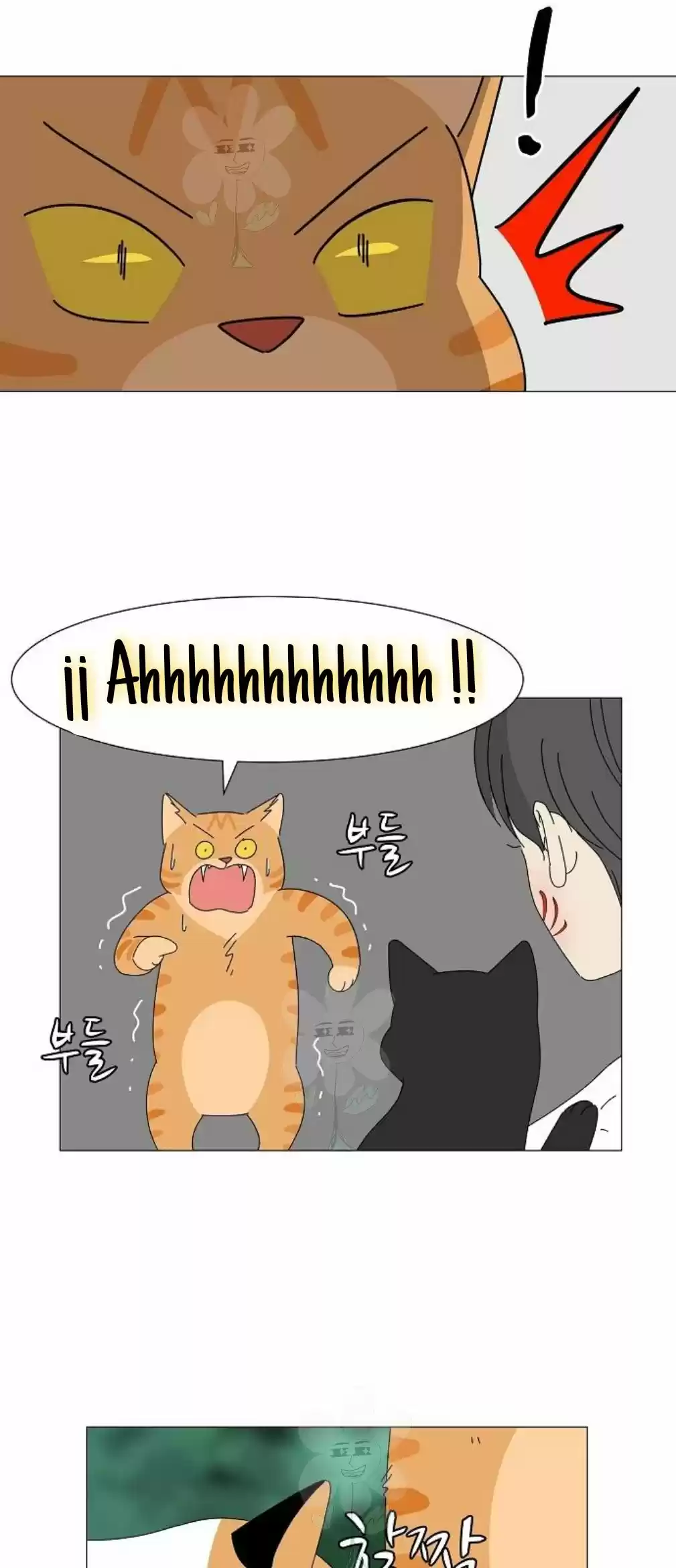 Gatos Del Cielo - Capítulo 4 - Página 24 - LectorTMOo