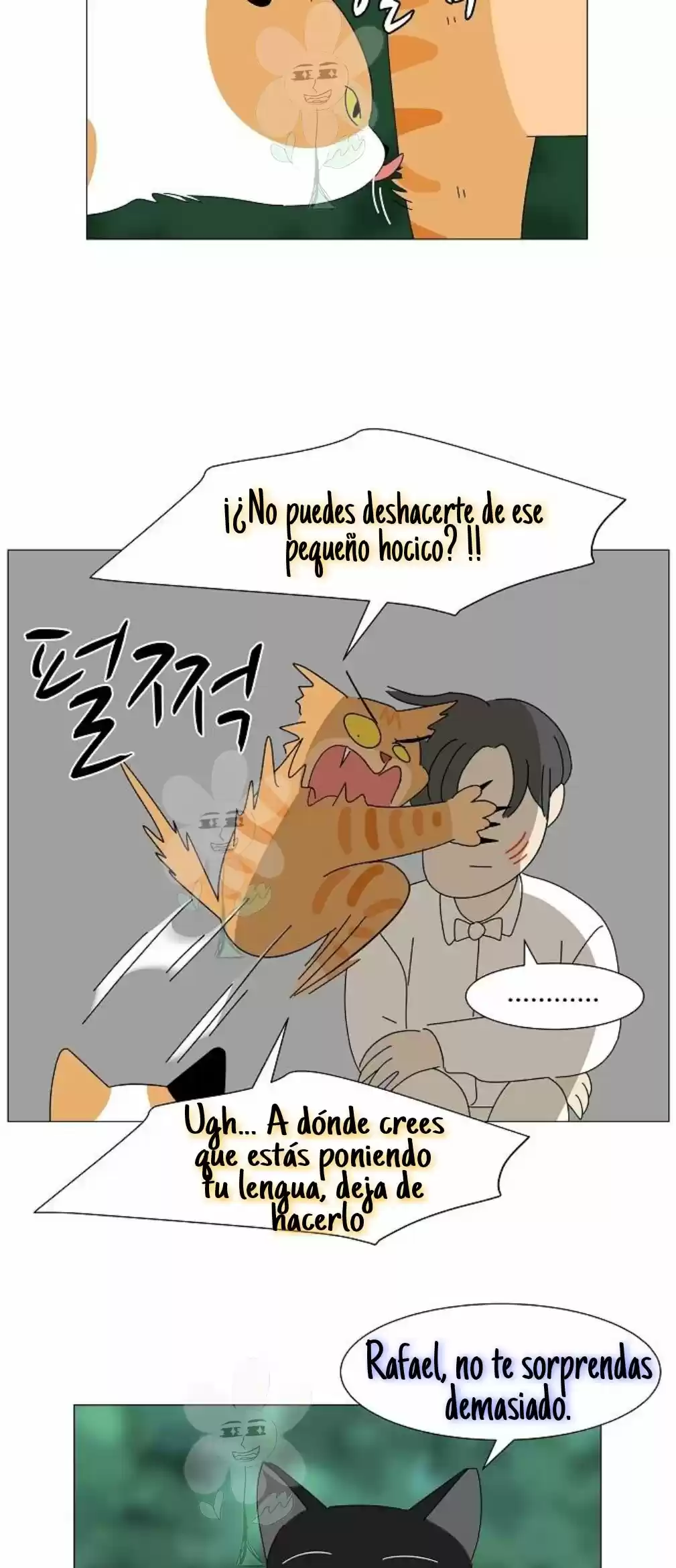 Gatos Del Cielo - Capítulo 4 - Página 25 - LectorTMOo