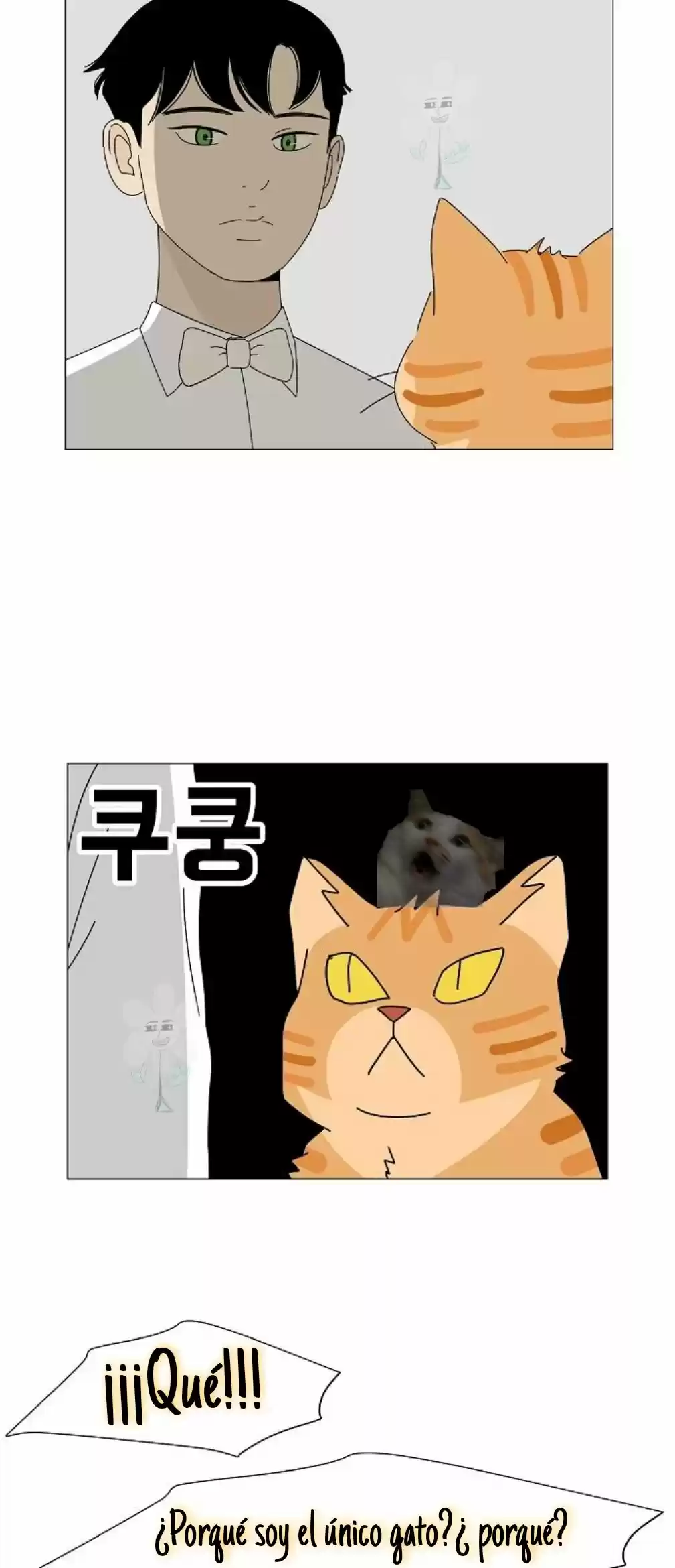 Gatos Del Cielo - Capítulo 5 - Página 14 - LectorTMOo