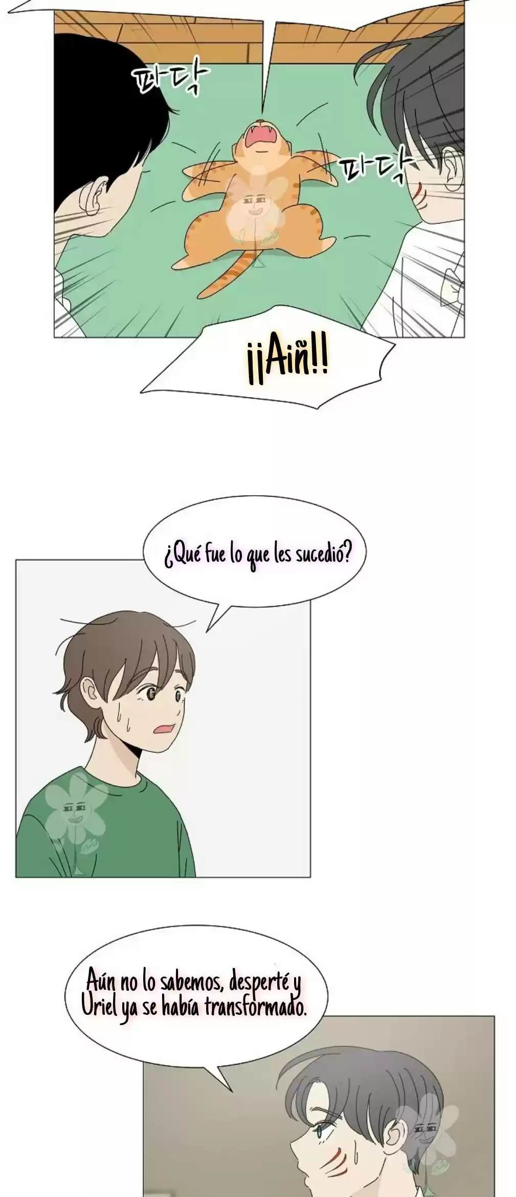 Gatos Del Cielo - Capítulo 5 - Página 15 - LectorTMOo