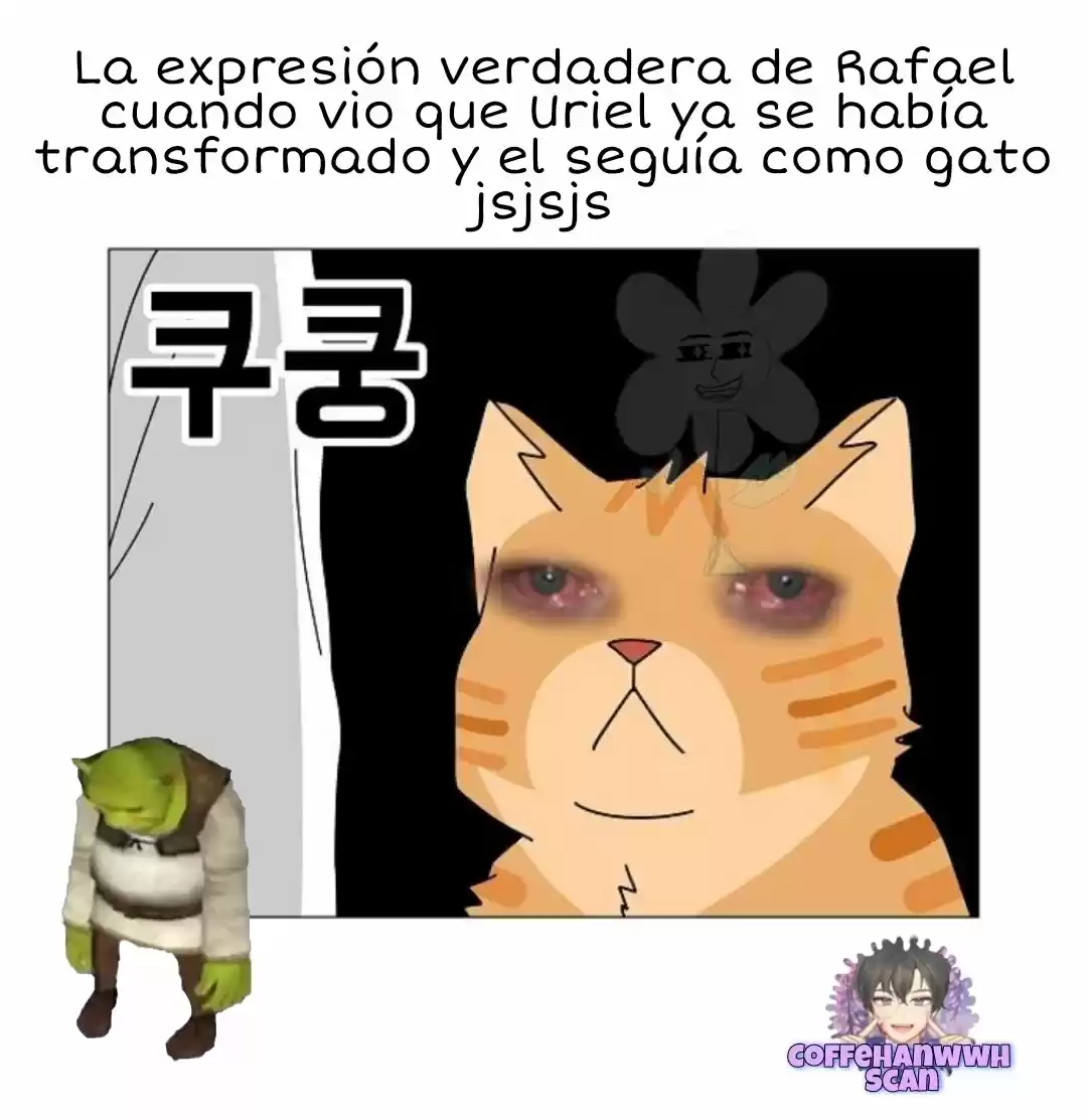 Gatos Del Cielo - Capítulo 5 - Página 37 - LectorTMOo
