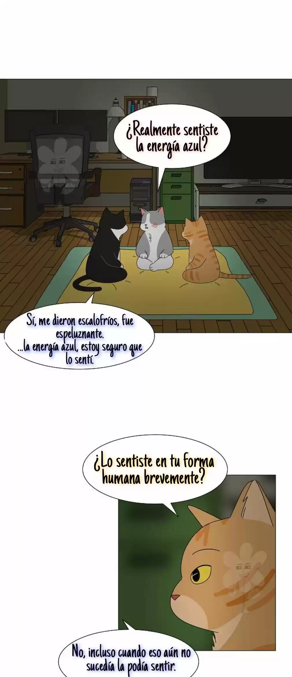 Gatos Del Cielo - Capítulo 6 - Página 19 - LectorTMOo