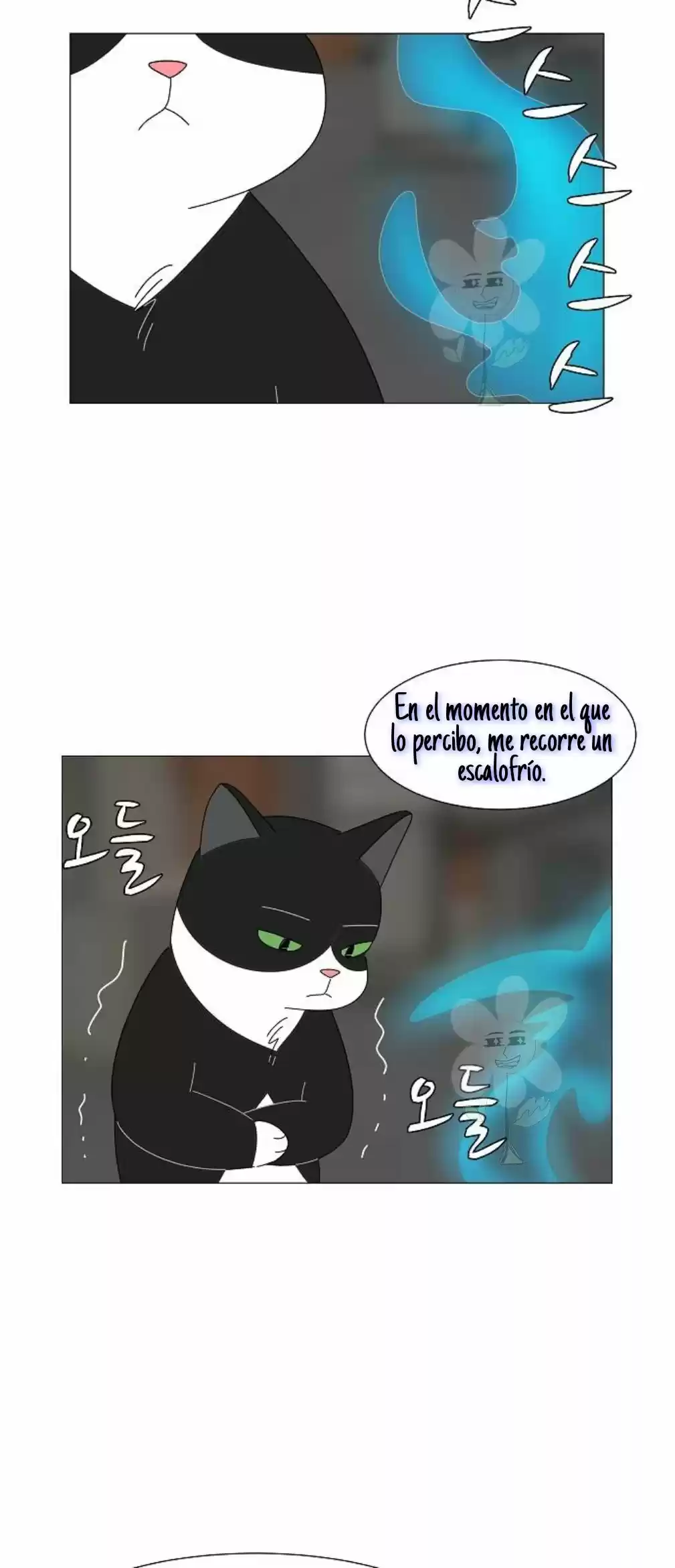 Gatos Del Cielo - Capítulo 6 - Página 23 - LectorTMOo