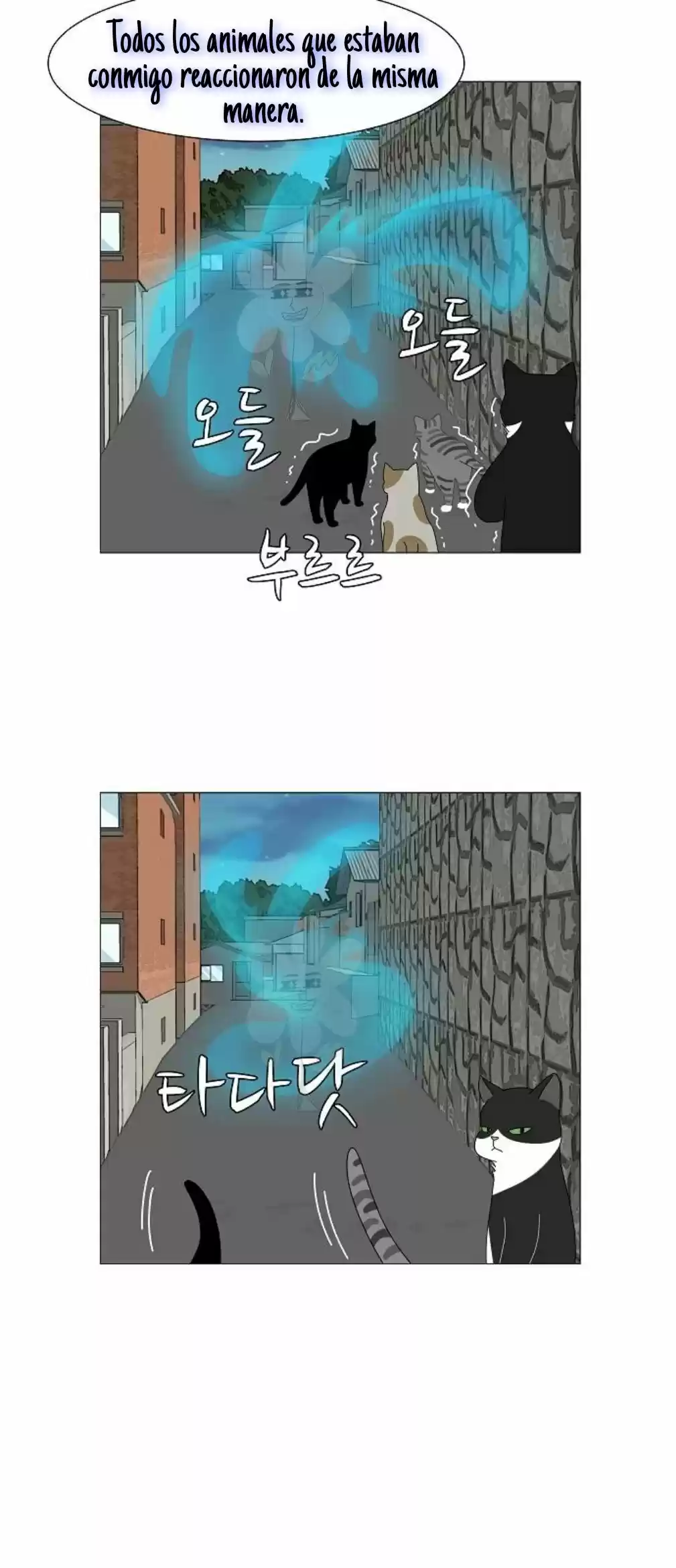 Gatos Del Cielo - Capítulo 6 - Página 24 - LectorTMOo