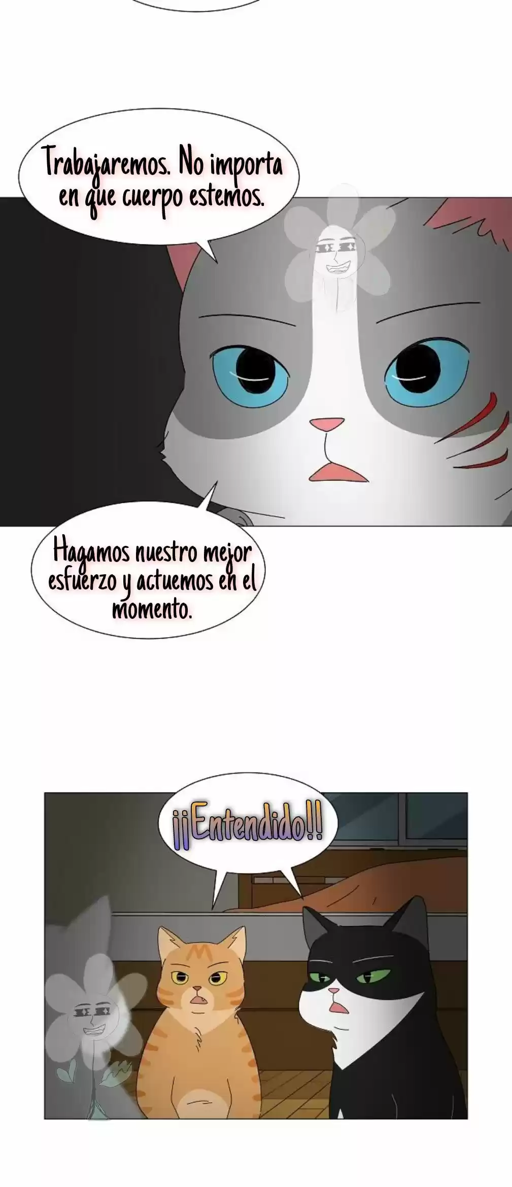 Gatos Del Cielo - Capítulo 6 - Página 26 - LectorTMOo