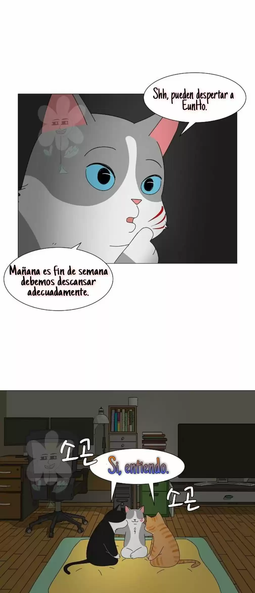 Gatos Del Cielo - Capítulo 6 - Página 27 - LectorTMOo