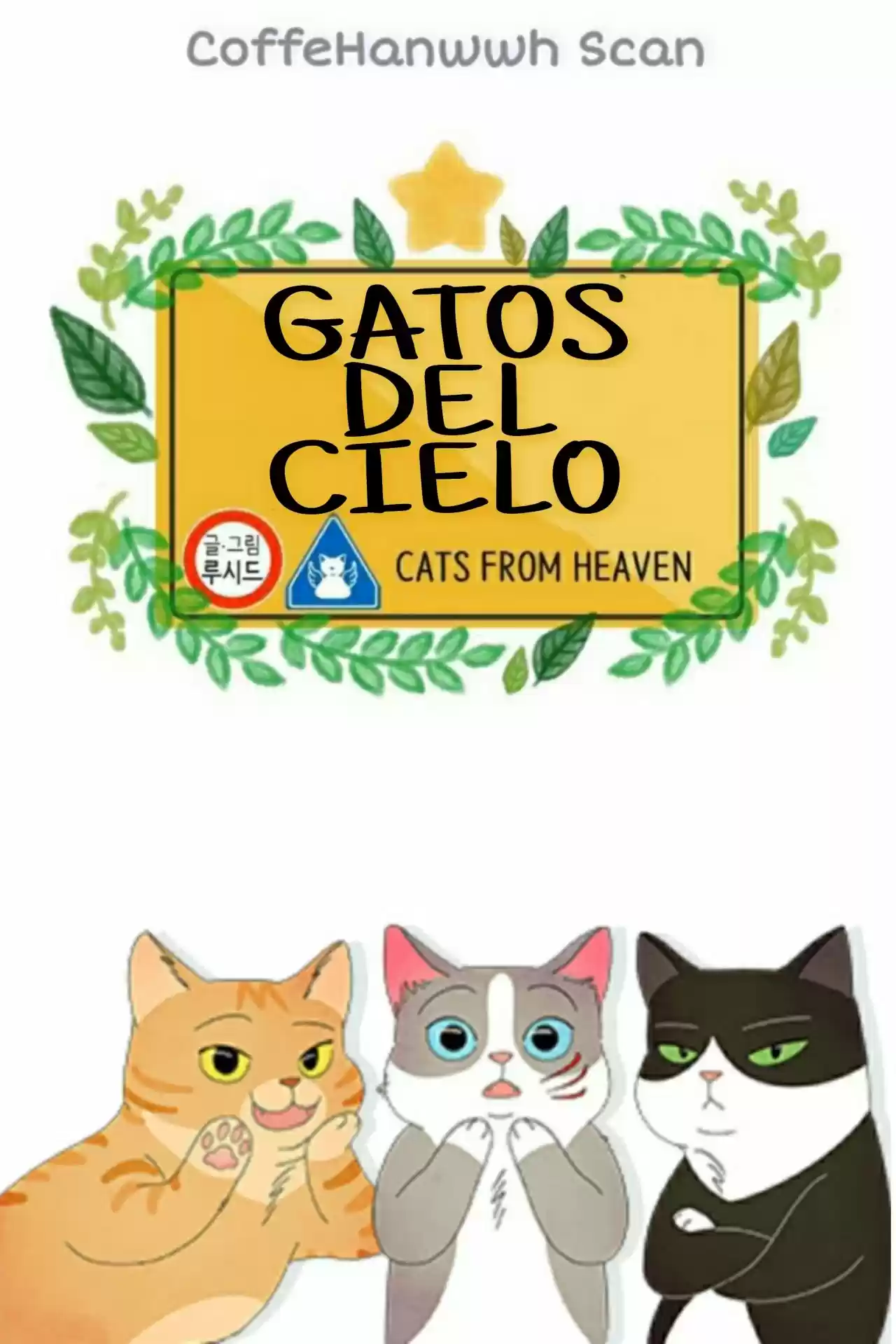 Gatos Del Cielo - Capítulo 7 - Página 2 - LectorTMOo