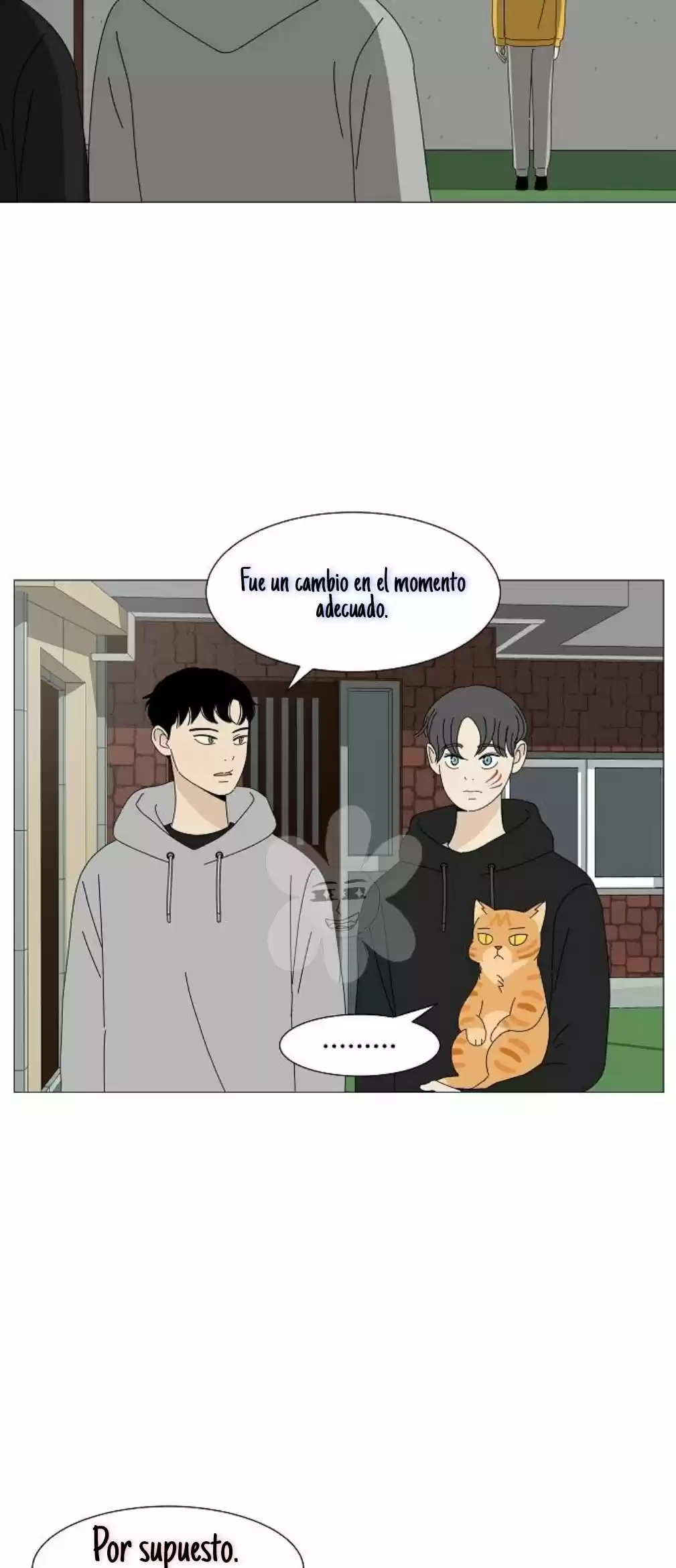 Gatos Del Cielo - Capítulo 7 - Página 29 - LectorTMOo