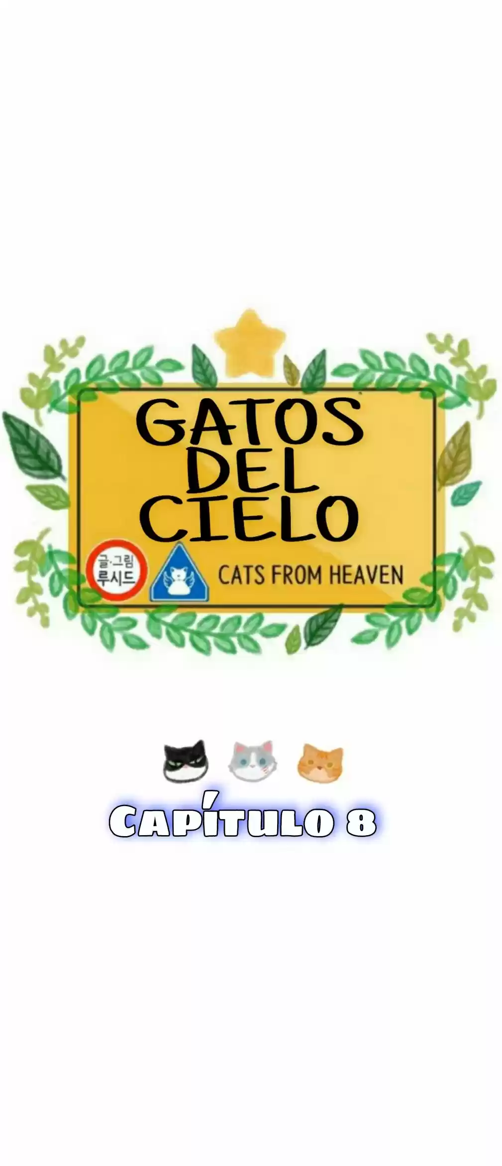 Gatos Del Cielo - Capítulo 8 - Página 8 - LectorTMOo