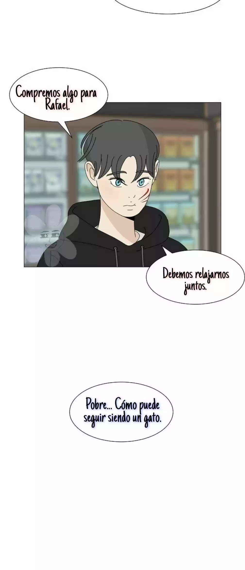 Gatos Del Cielo - Capítulo 8 - Página 20 - LectorTMOo