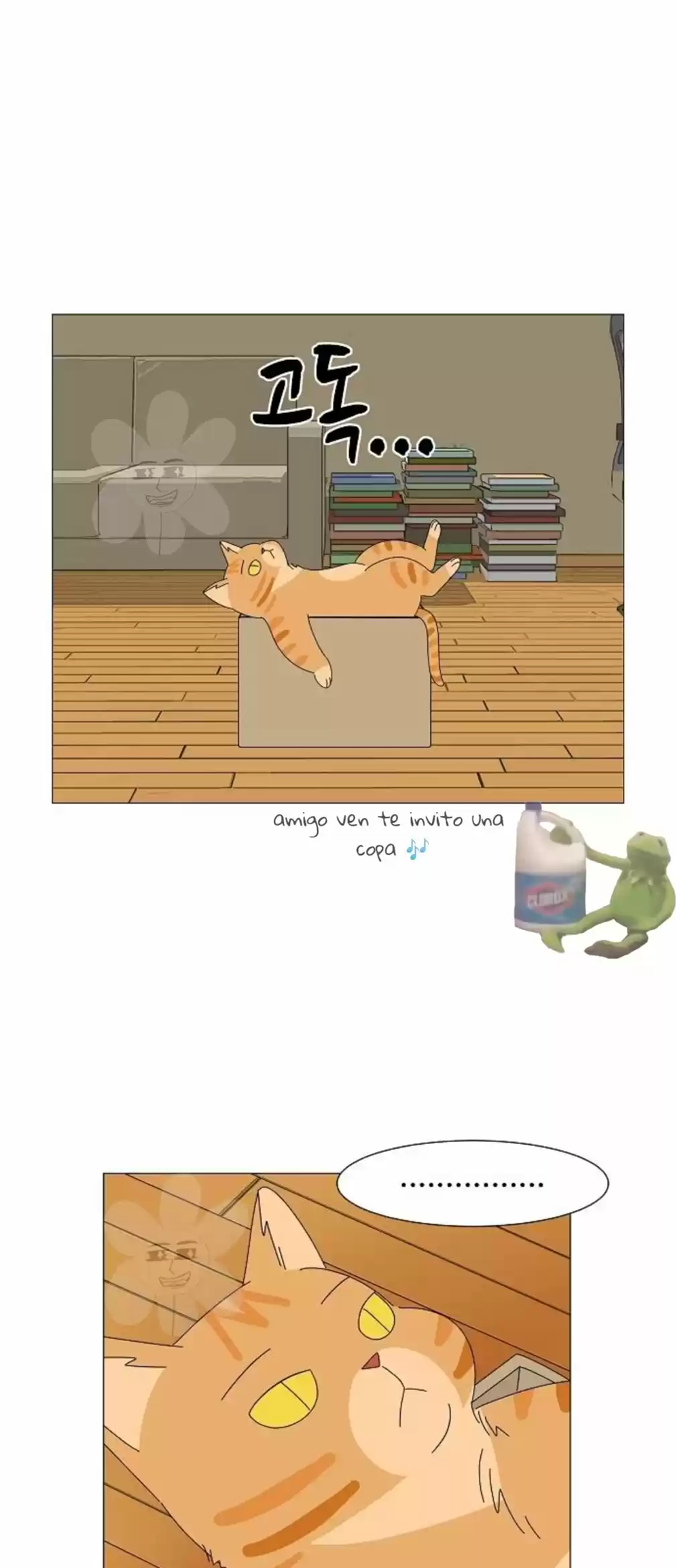 Gatos Del Cielo - Capítulo 8 - Página 21 - LectorTMOo