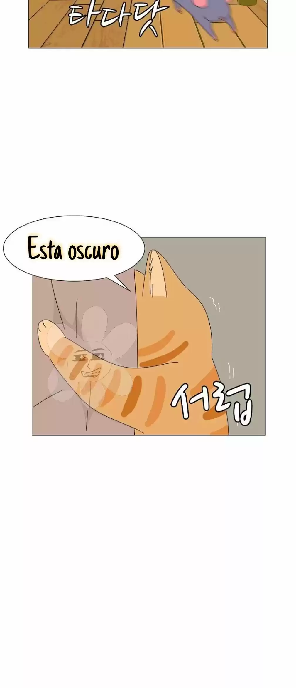 Gatos Del Cielo - Capítulo 8 - Página 29 - LectorTMOo