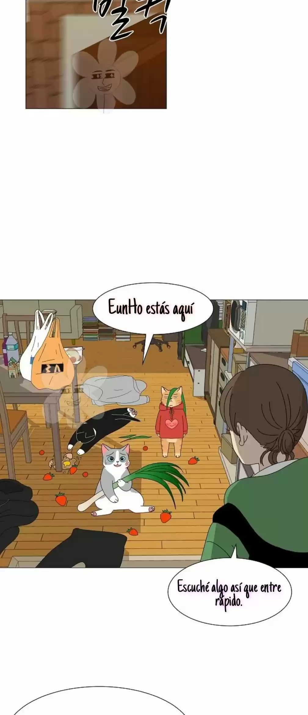 Gatos Del Cielo - Capítulo 9 - Página 22 - LectorTMOo