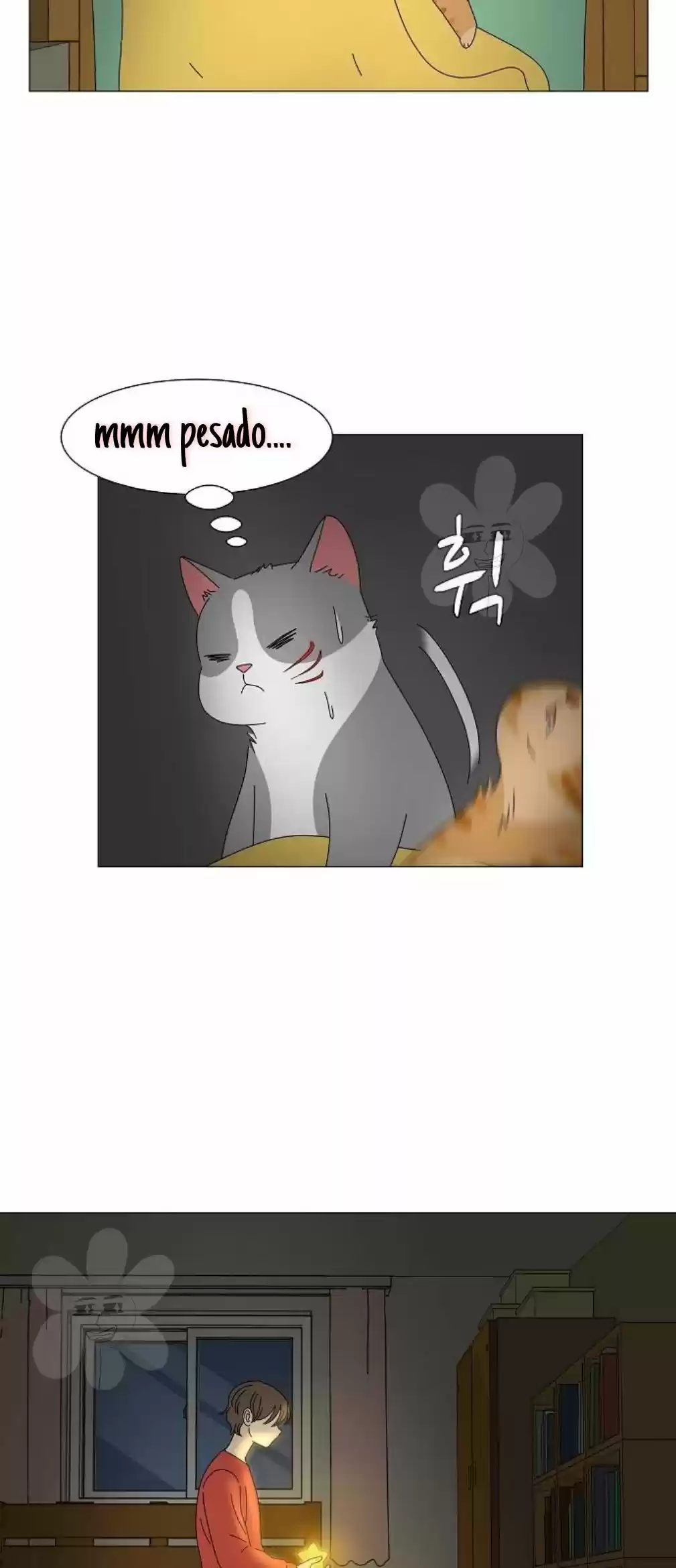 Gatos Del Cielo - Capítulo 9 - Página 28 - LectorTMOo