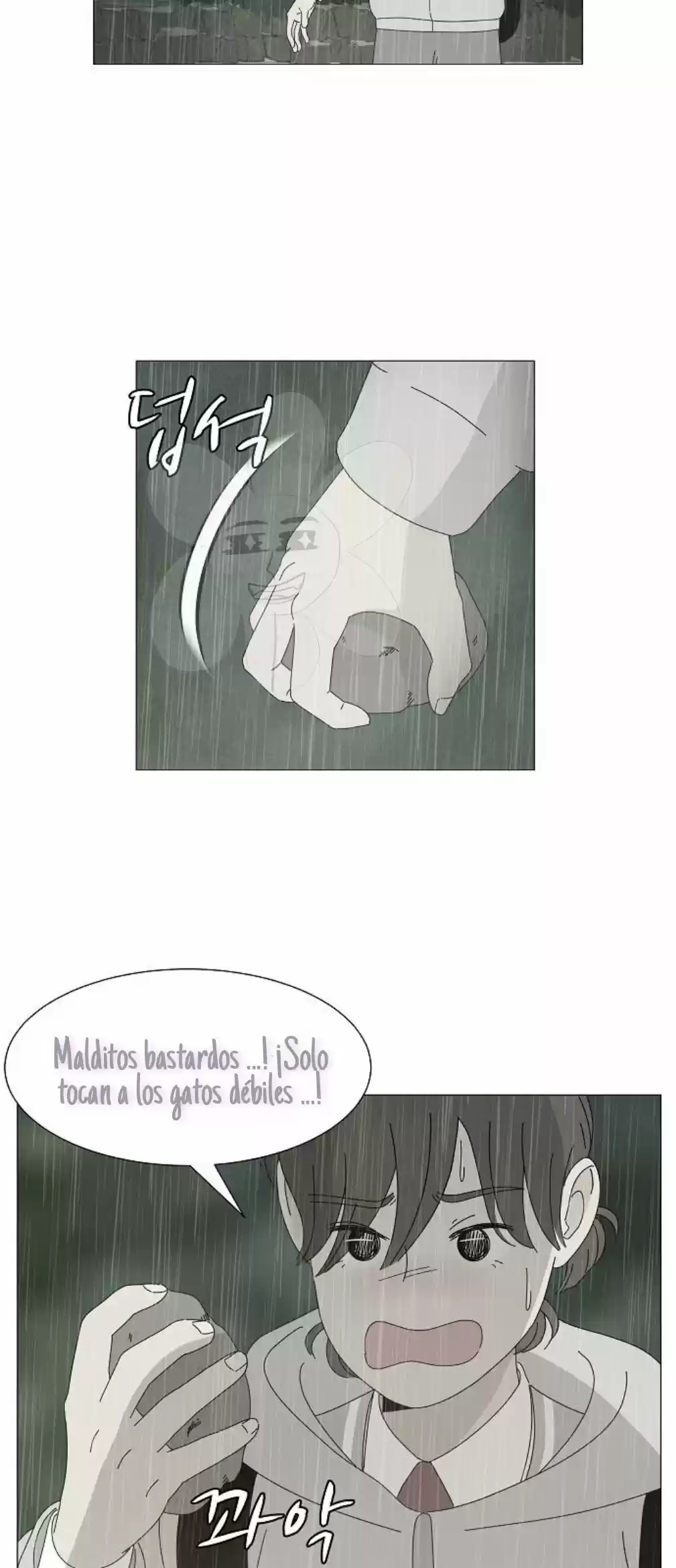 Gatos Del Cielo - Capítulo 9 - Página 40 - LectorTMOo