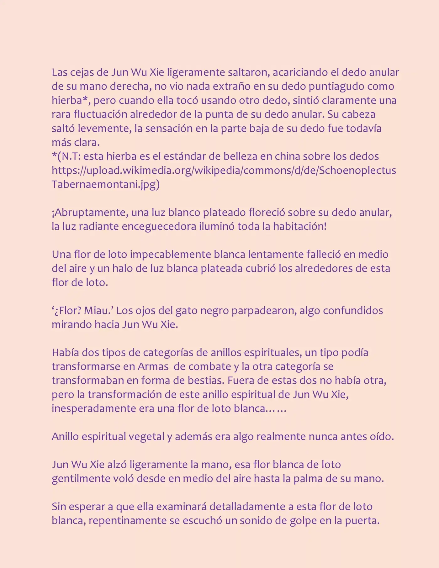 Genius Doctor: Black Belly Miss (Novela) - Capítulo 12 - Página 4 - LectorTMOo