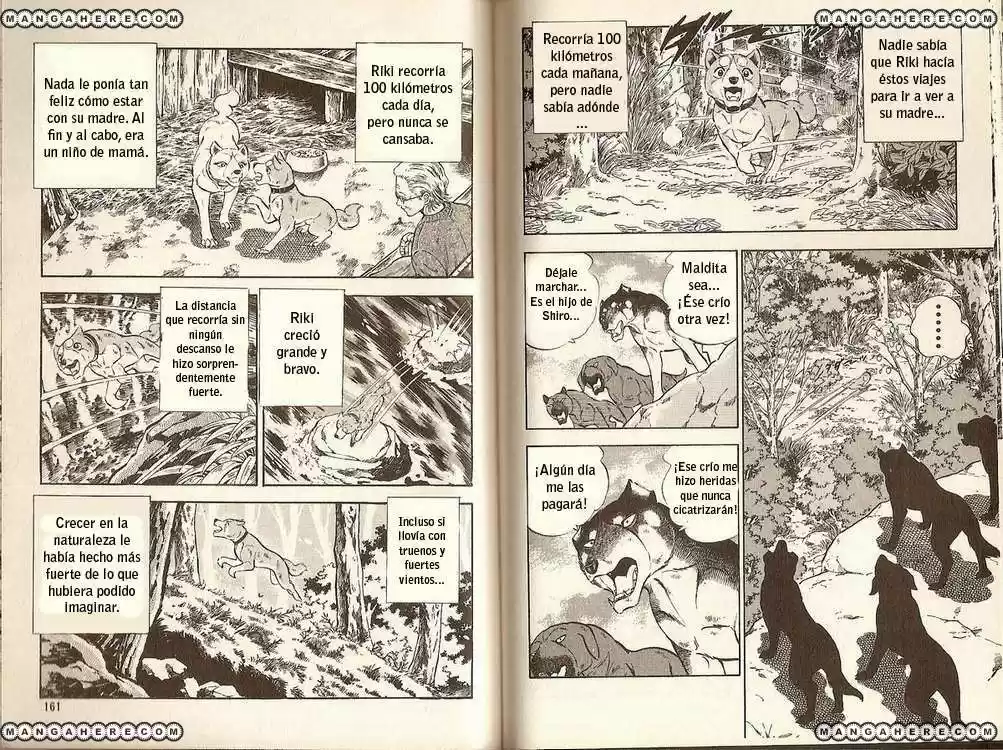 Ginga Densetsu Riki - Capítulo 5 - Página 12 - LectorTMOo