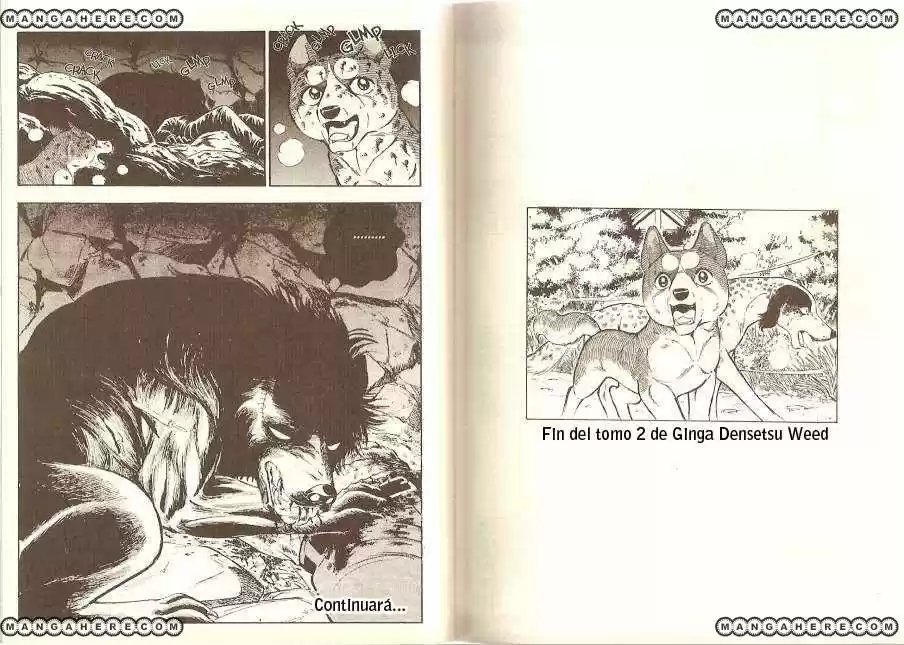 Ginga Densetsu Weed - Capítulo 21 - Página 11 - LectorTMOo