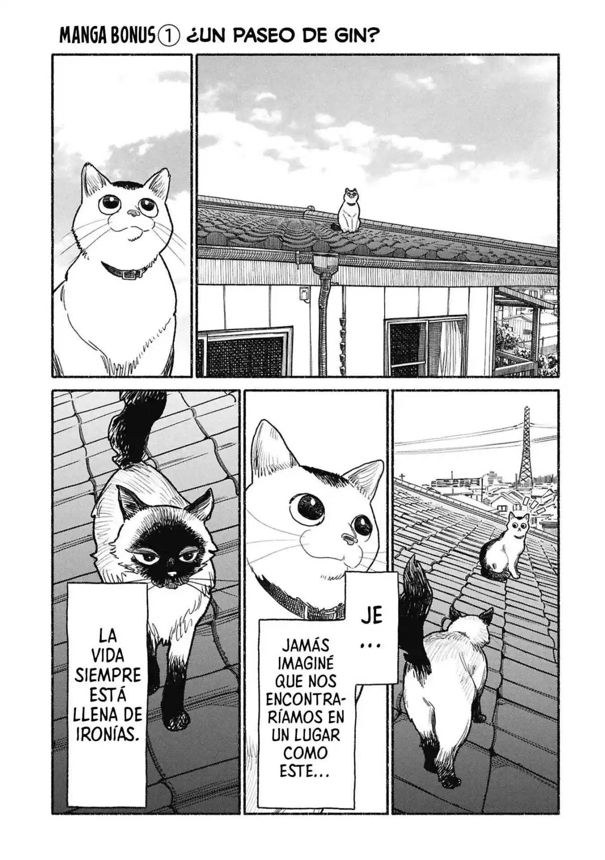 Gokushufudou capítulo 153.5 página 5