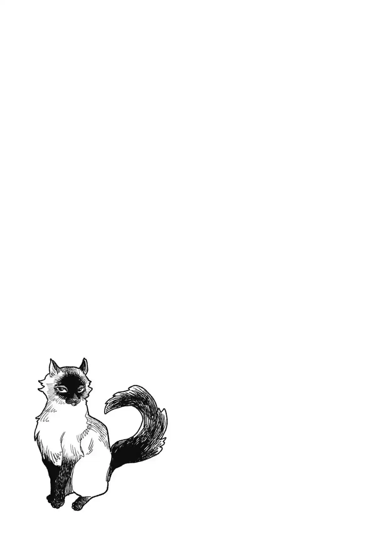 Gokushufudou capítulo 153.5 página 13