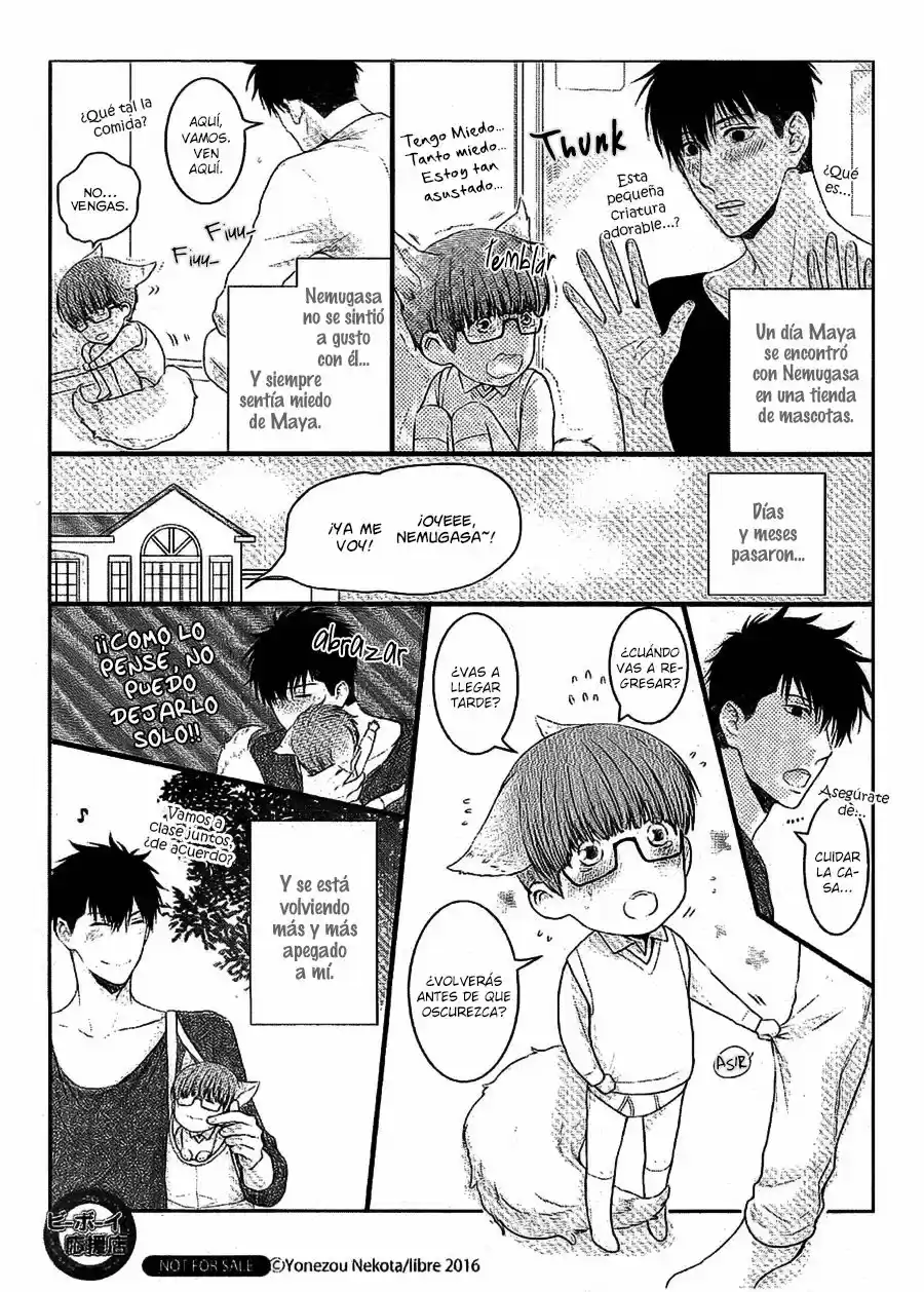 Hidoku Shinaide - Capítulo 33 - Página 11 - LectorTMOo