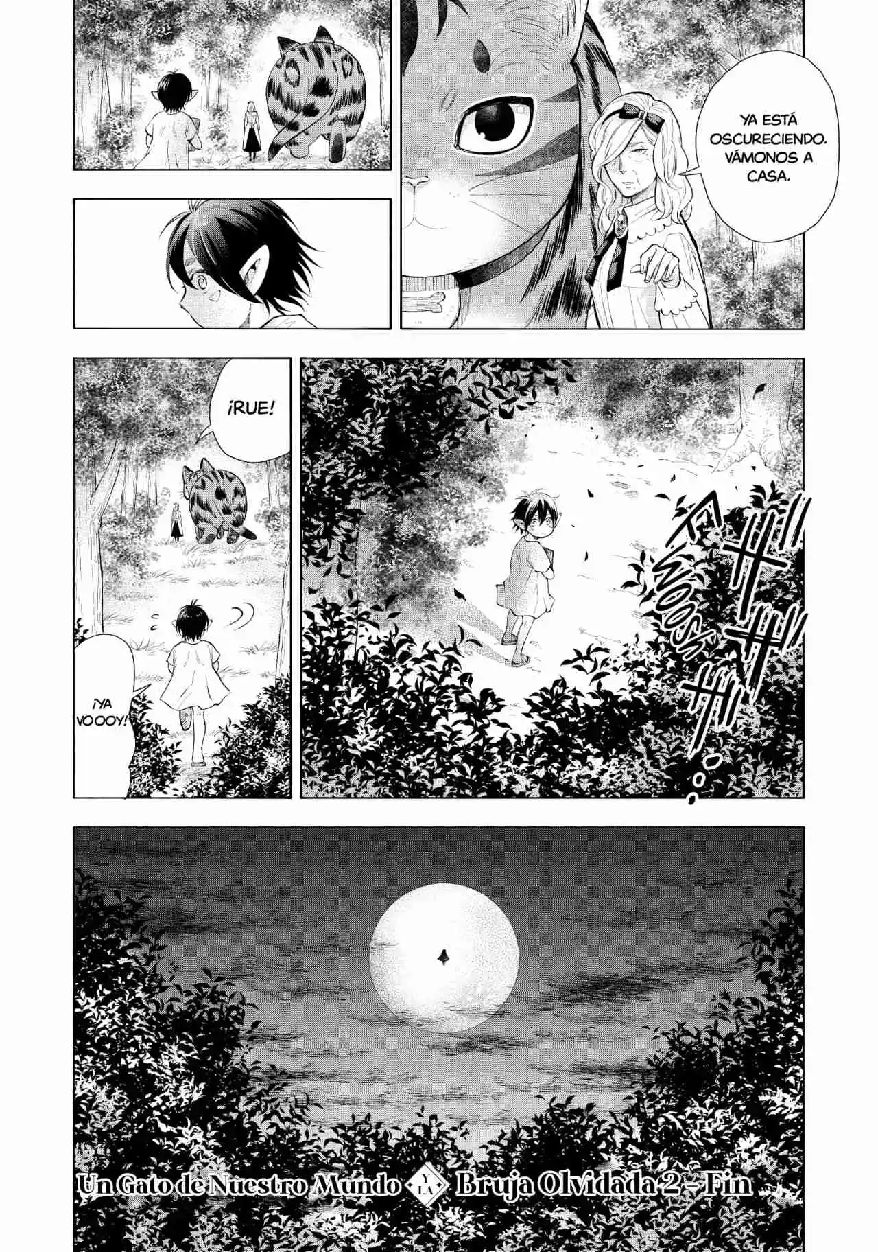 Isekai Neko To Fukigen Na Majo - Capítulo 12 - Página 25 - LectorTMOo