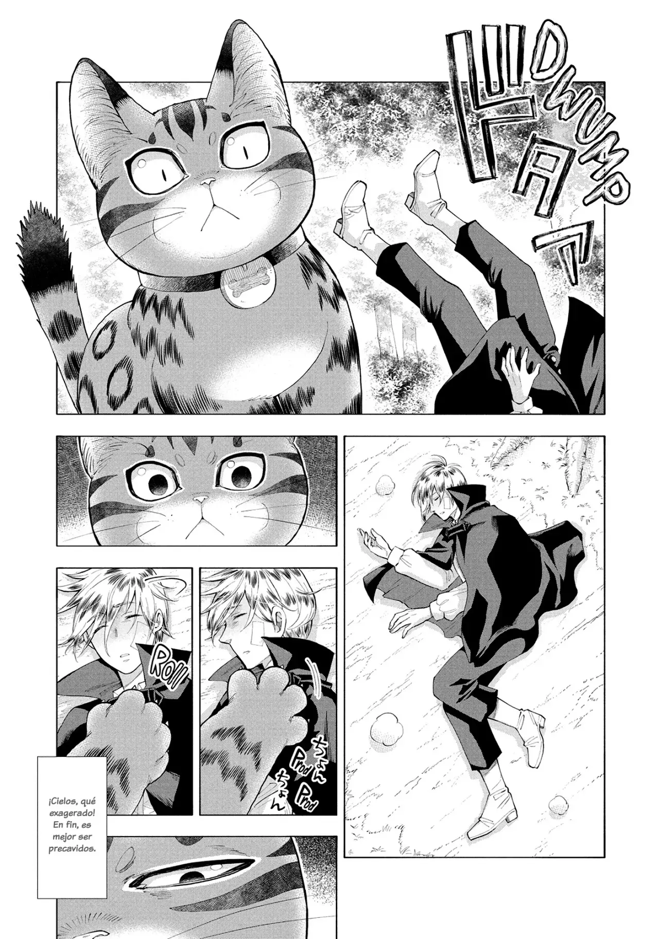 Isekai Neko To Fukigen Na Majo - Capítulo 15 - Página 10 - LectorTMOo