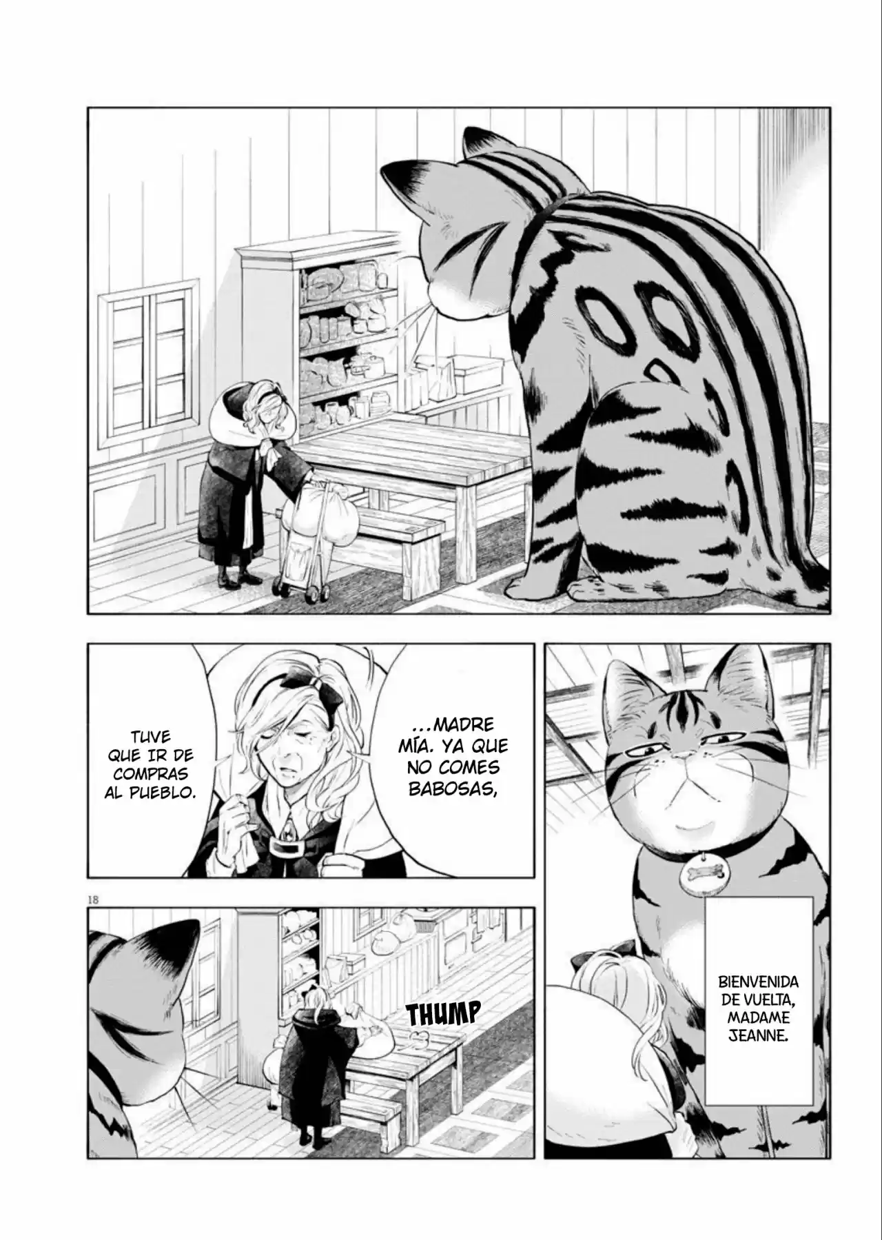 Isekai Neko To Fukigen Na Majo - Capítulo 2 - Página 18 - LectorTMOo