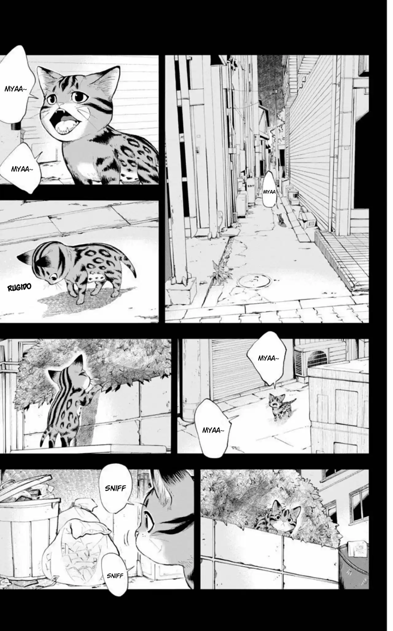 Isekai Neko To Fukigen Na Majo - Capítulo 2 - Página 24 - LectorTMOo
