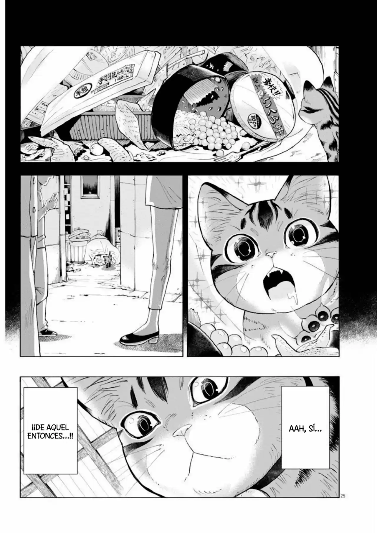 Isekai Neko To Fukigen Na Majo - Capítulo 2 - Página 25 - LectorTMOo