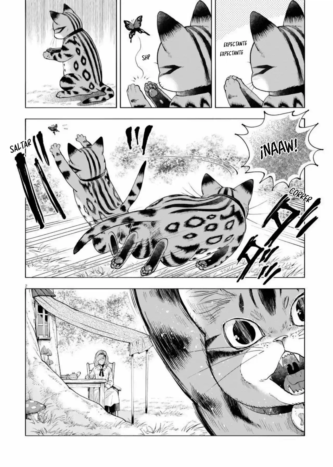 Isekai Neko To Fukigen Na Majo - Capítulo 4 - Página 3 - LectorTMOo