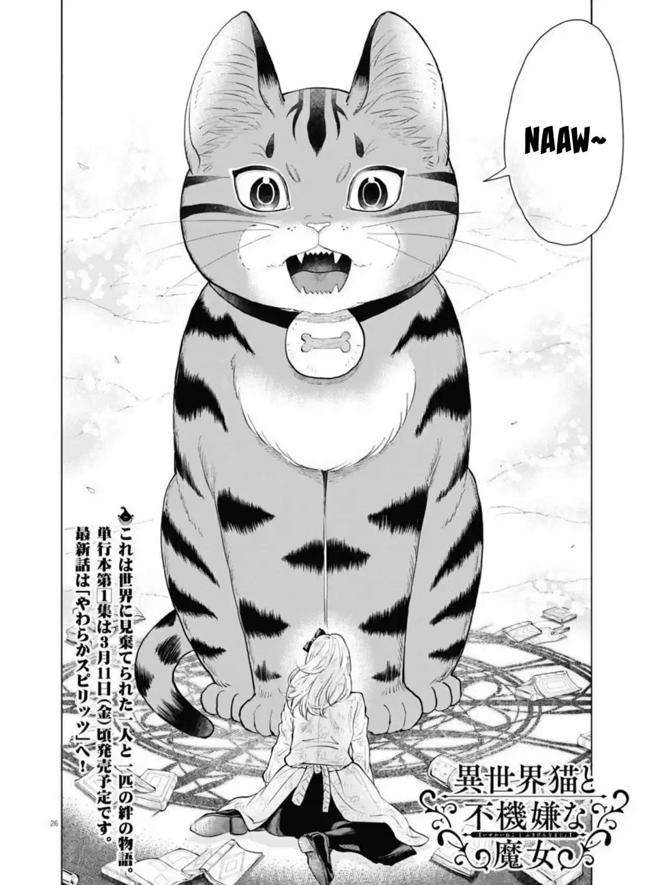 Isekai Neko To Fukigen Na Majo - Capítulo 5 - Página 27 - LectorTMOo