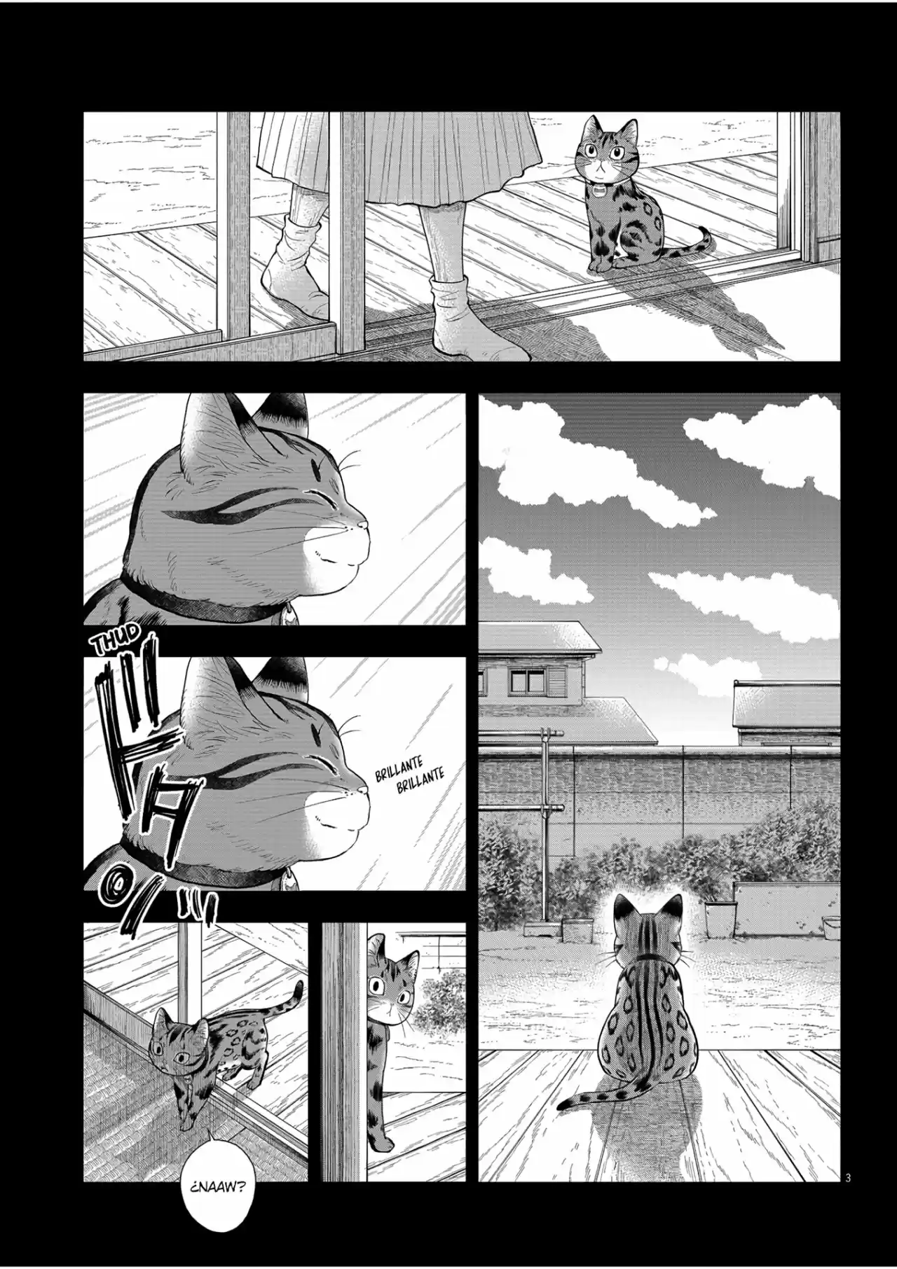 Isekai Neko To Fukigen Na Majo - Capítulo 6 - Página 4 - LectorTMOo