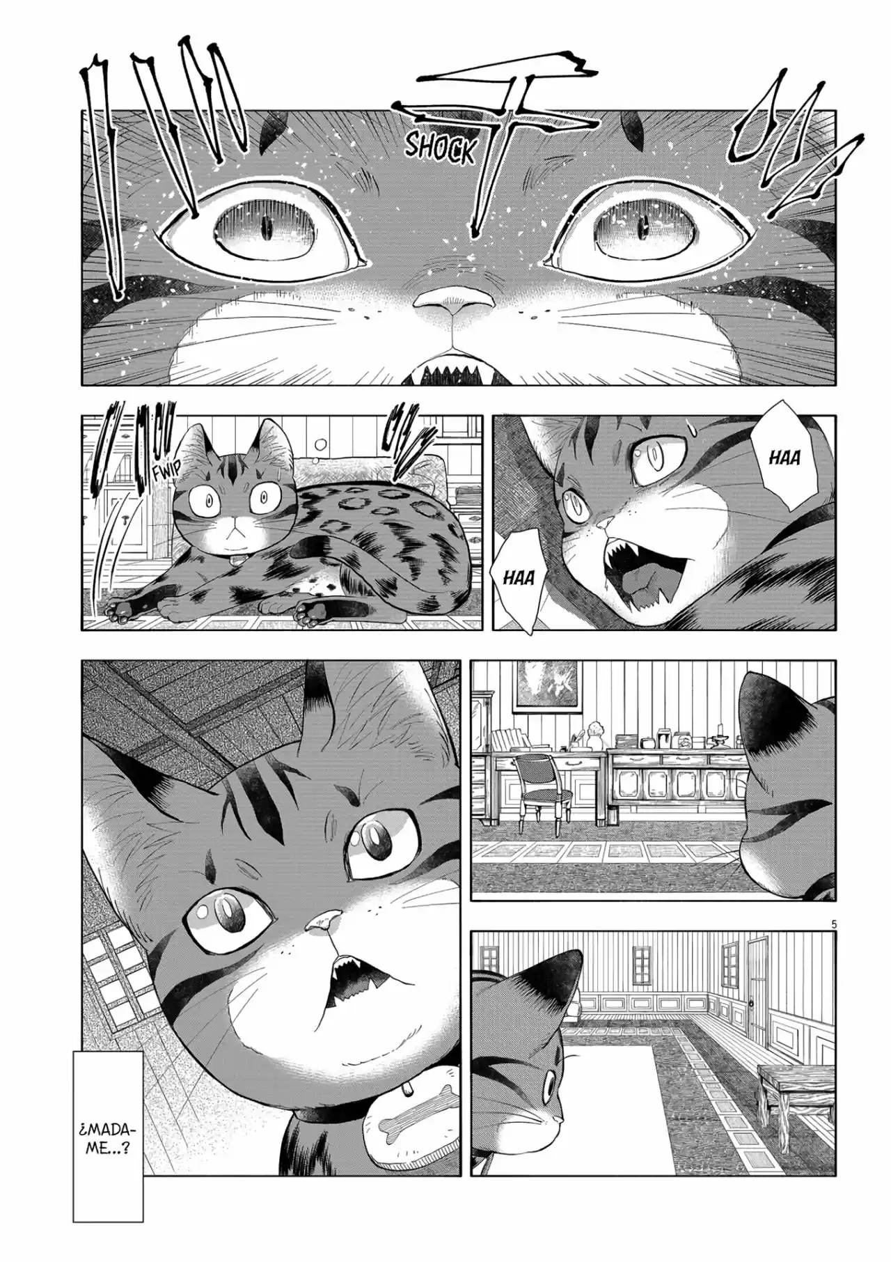 Isekai Neko To Fukigen Na Majo - Capítulo 6 - Página 6 - LectorTMOo