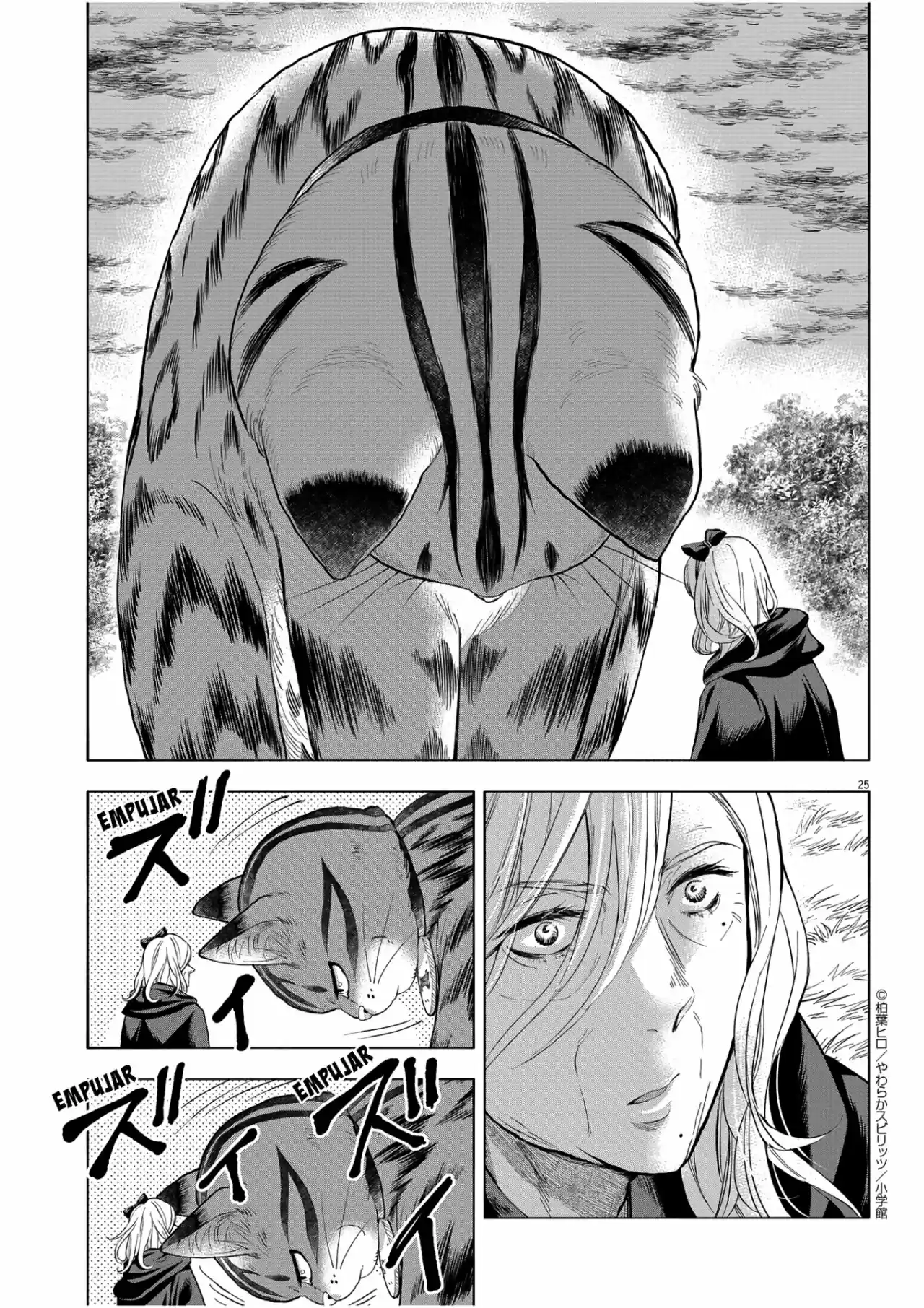 Isekai Neko To Fukigen Na Majo - Capítulo 6 - Página 25 - LectorTMOo
