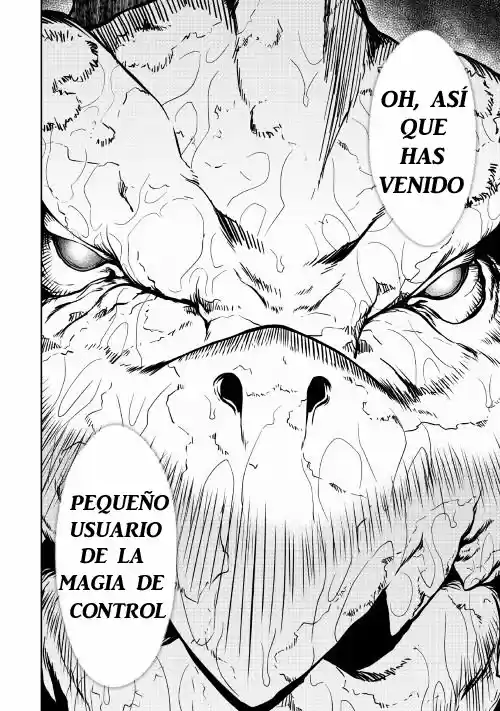 Isekai Wo Seigyo Mahou De Kirihirake - Capítulo 17 - Página 21 - LectorTMOo