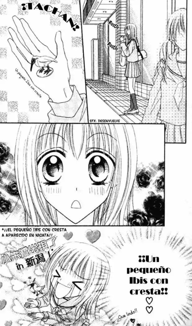 Itoshi No Goshujin-sama - Capítulo 1 - Página 11 - LectorTMOo