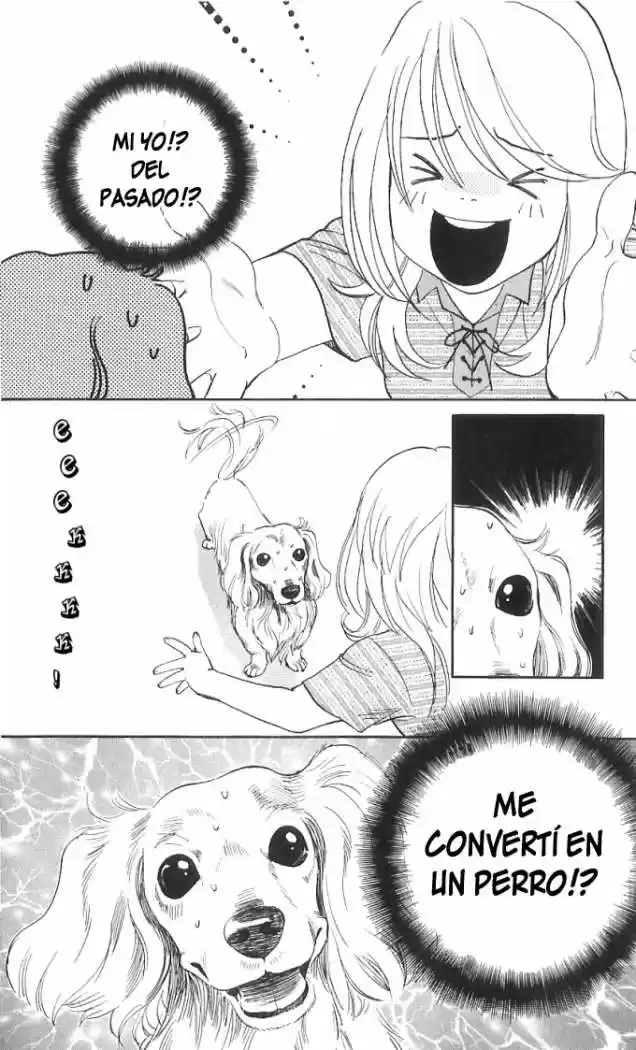 Its Not Like That Darling - Capítulo 13 - Página 34 - LectorTMOo