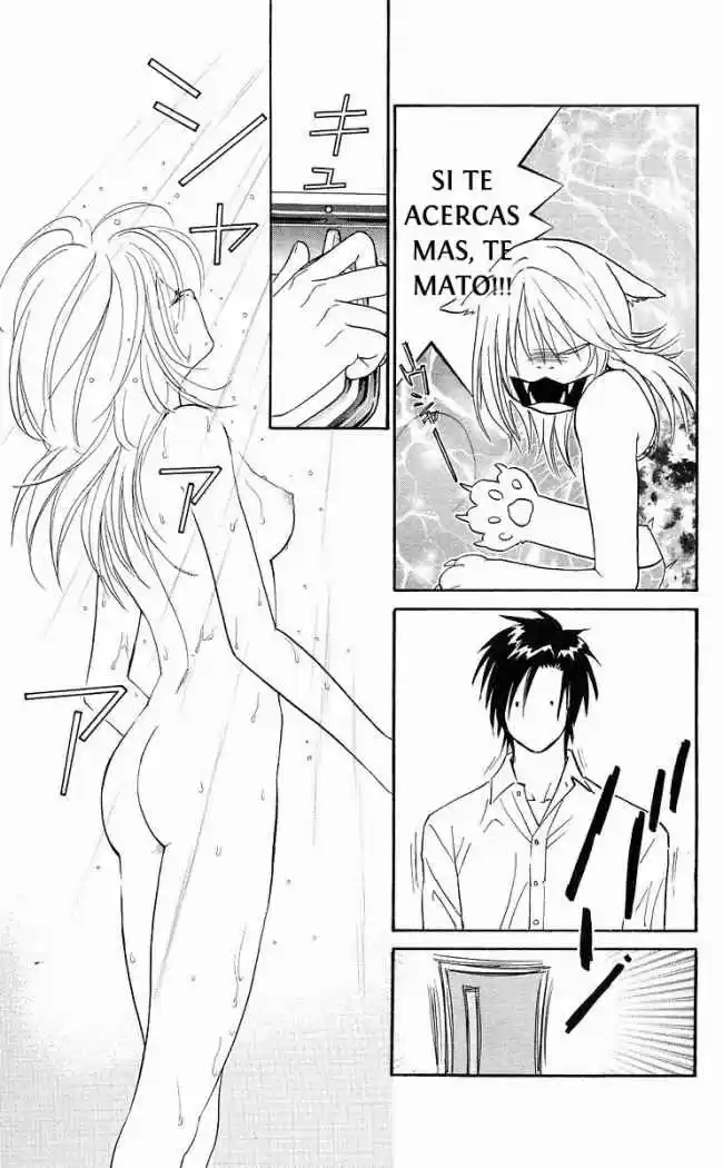 Its Not Like That Darling - Capítulo 4 - Página 13 - LectorTMOo