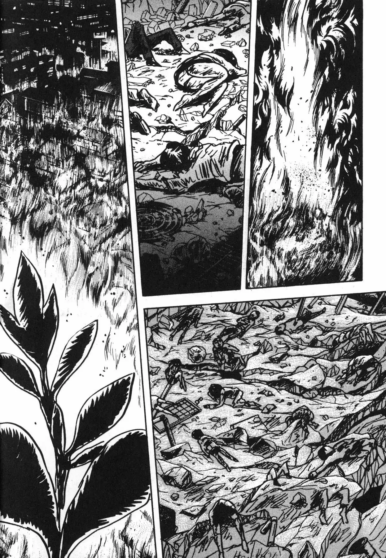 Jacaranda - Capítulo 1.10 - Página 66 - LectorTMOo