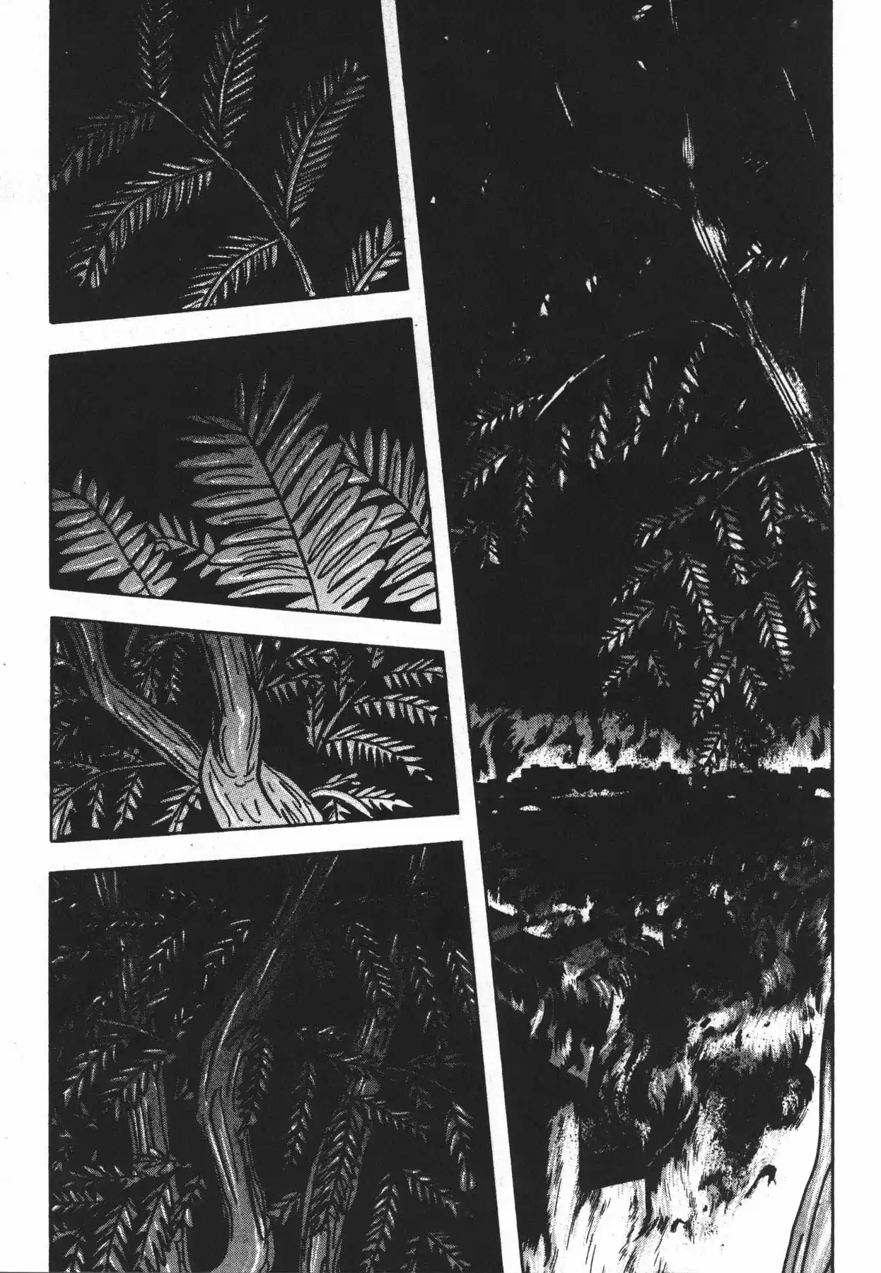 Jacaranda - Capítulo 1.20 - Página 31 - LectorTMOo
