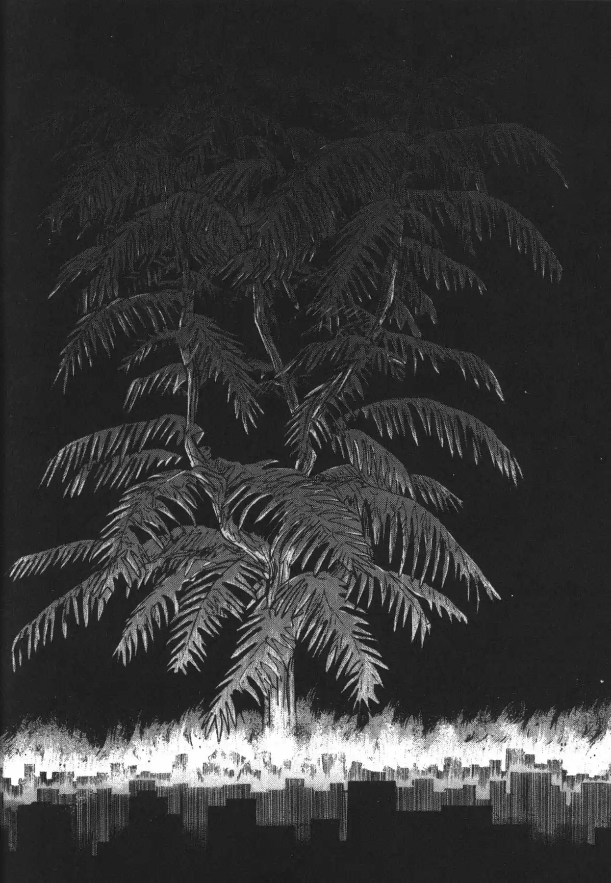 Jacaranda - Capítulo 1.20 - Página 32 - LectorTMOo