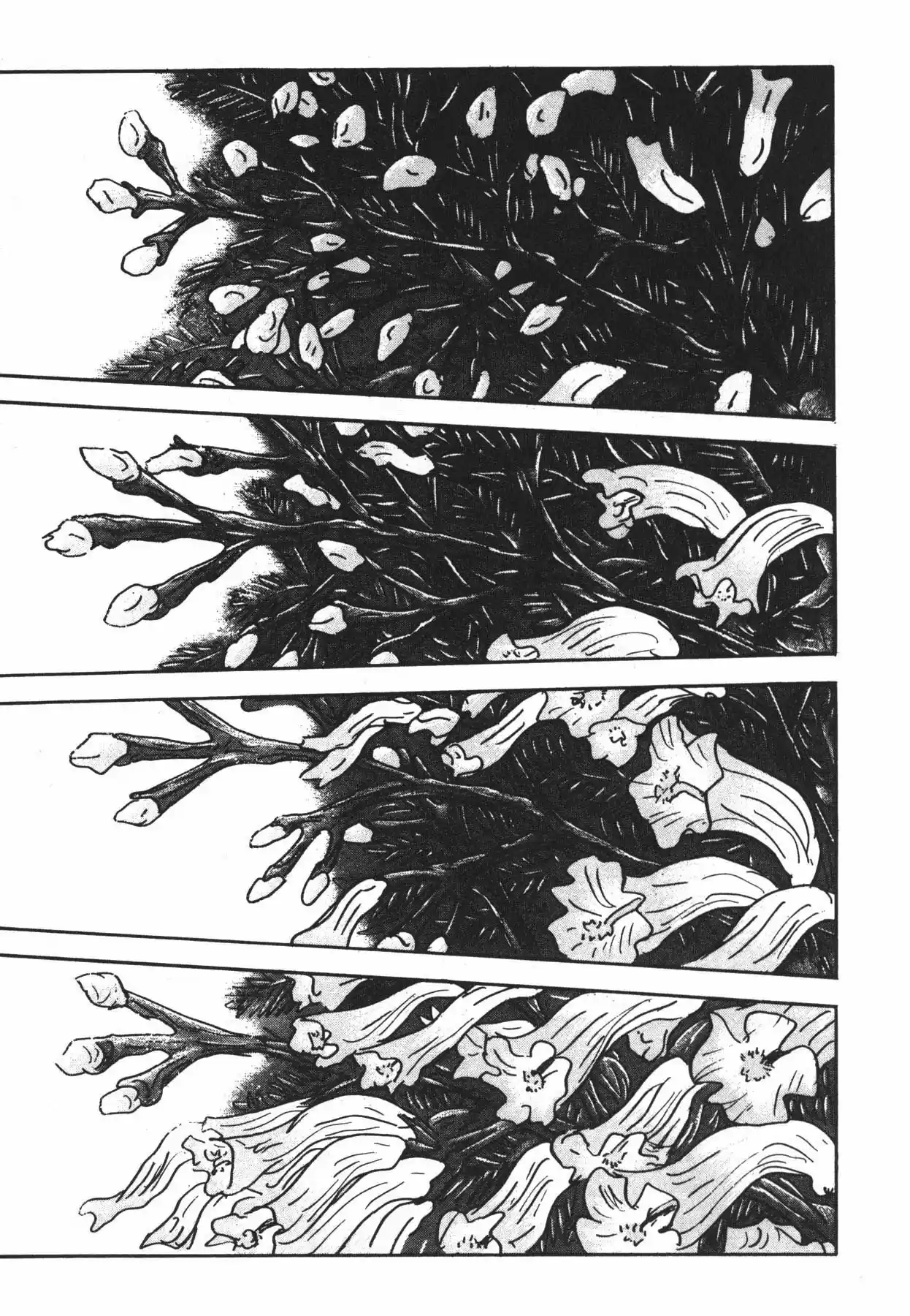 Jacaranda - Capítulo 1.20 - Página 125 - LectorTMOo