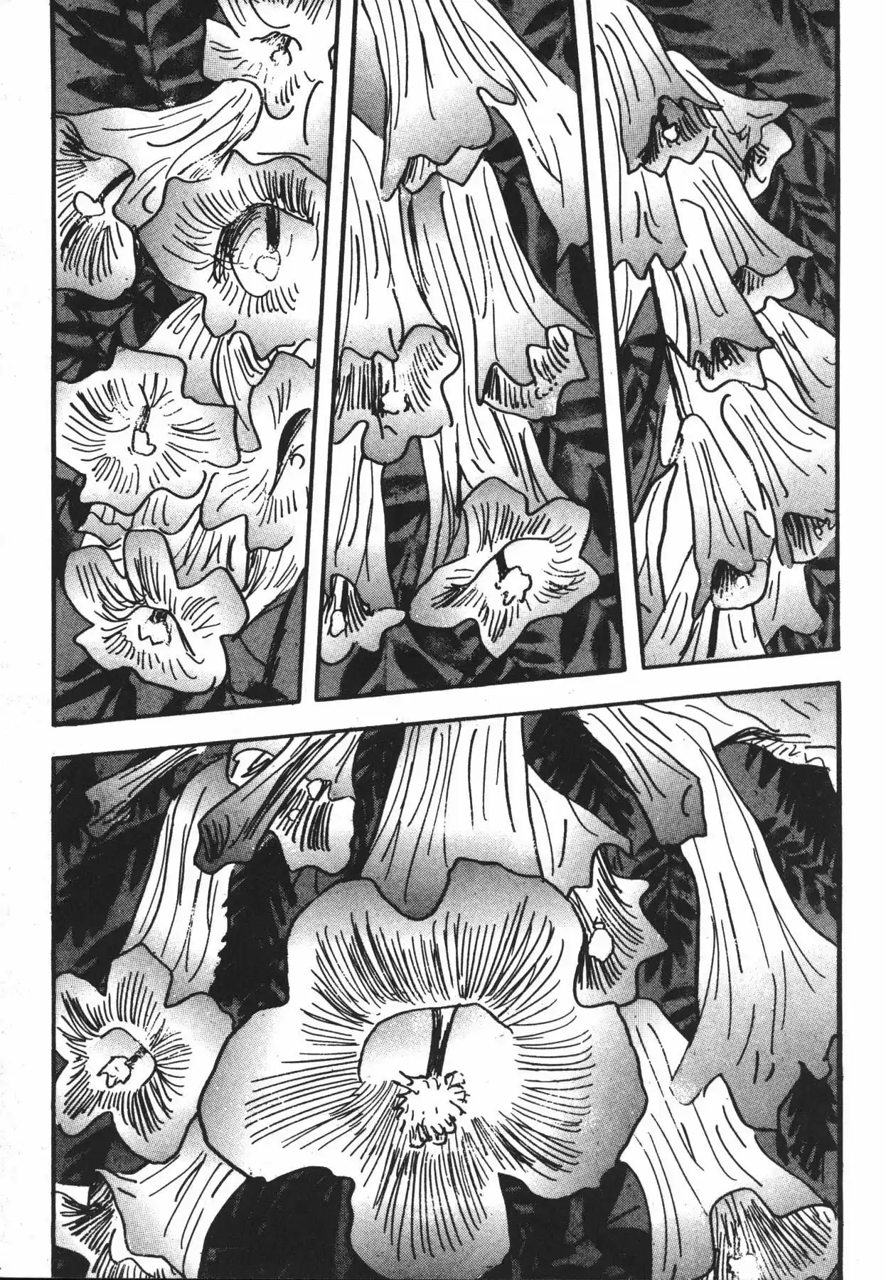 Jacaranda - Capítulo 1.20 - Página 127 - LectorTMOo