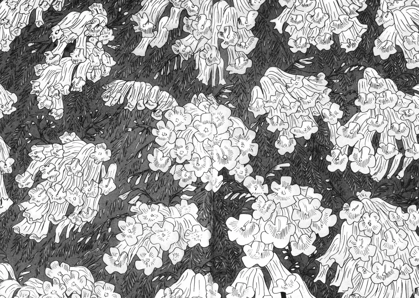 Jacaranda - Capítulo 1.20 - Página 128 - LectorTMOo