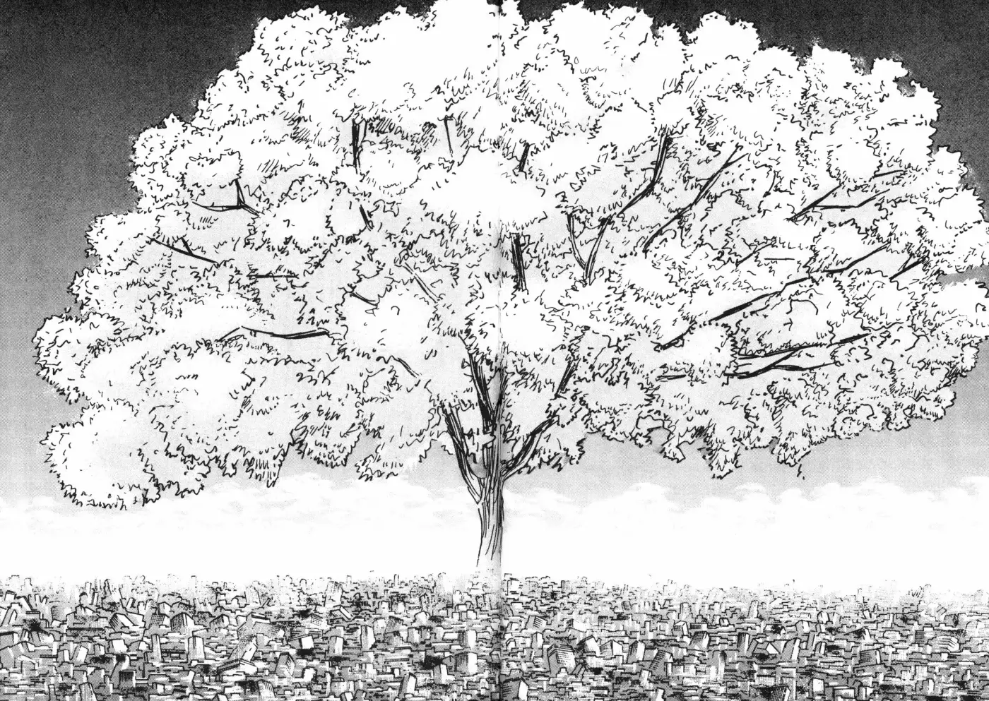 Jacaranda - Capítulo 1.20 - Página 135 - LectorTMOo
