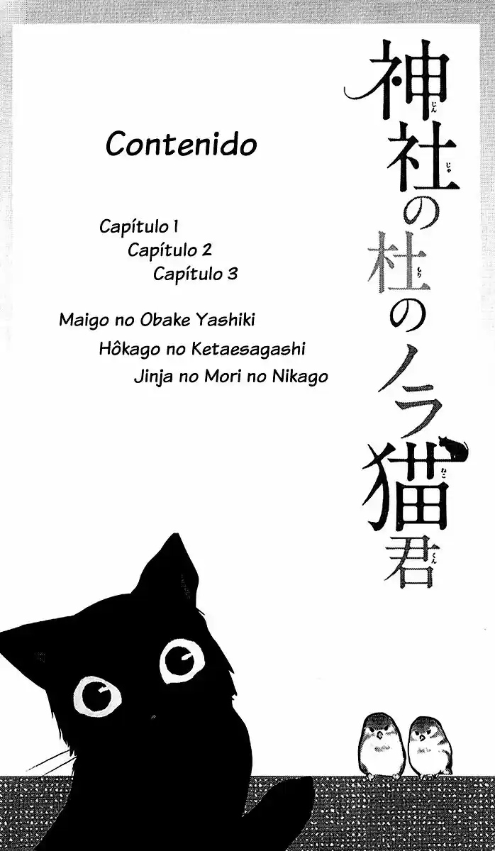 Jinja No Mori No Nora Neko-kun - Capítulo 1 - Página 5 - LectorTMOo