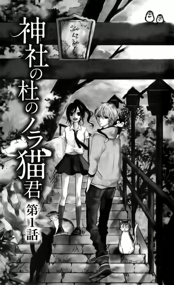 Jinja No Mori No Nora Neko-kun - Capítulo 1 - Página 6 - LectorTMOo