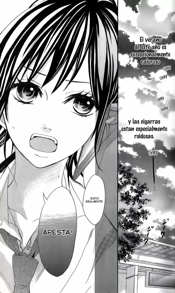 Jinja No Mori No Nora Neko-kun - Capítulo 1 - Página 8 - LectorTMOo
