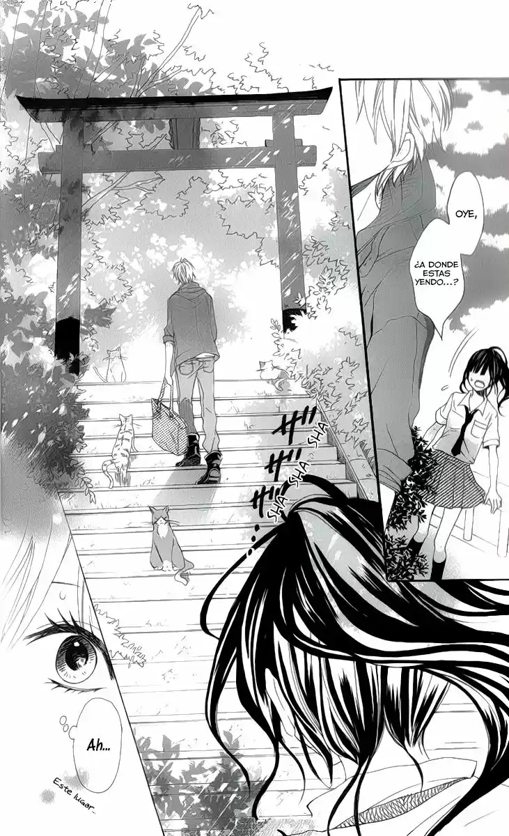 Jinja No Mori No Nora Neko-kun - Capítulo 1 - Página 15 - LectorTMOo